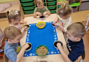 Małe smyki z grupy X w świecie przyrodniczej sensoryki – projekt edukacyjny cz. III .... WIOSNA