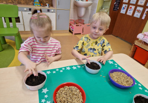 Małe smyki z grupy X w świecie przyrodniczej sensoryki – projekt edukacyjny cz. III .... WIOSNA