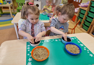 Małe smyki z grupy X w świecie przyrodniczej sensoryki – projekt edukacyjny cz. III .... WIOSNA