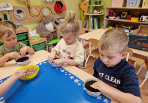 Małe smyki z grupy X w świecie przyrodniczej sensoryki – projekt edukacyjny cz. III .... WIOSNA