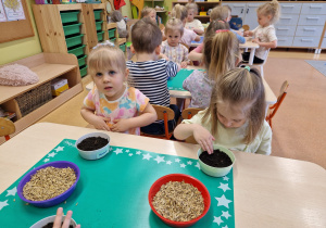 Małe smyki z grupy X w świecie przyrodniczej sensoryki – projekt edukacyjny cz. III .... WIOSNA