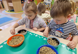 Małe smyki z grupy X w świecie przyrodniczej sensoryki – projekt edukacyjny cz. III .... WIOSNA
