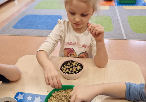 Małe smyki z grupy X w świecie przyrodniczej sensoryki – projekt edukacyjny cz. III .... WIOSNA
