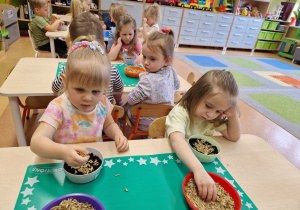 Małe smyki z grupy X w świecie przyrodniczej sensoryki – projekt edukacyjny cz. III .... WIOSNA