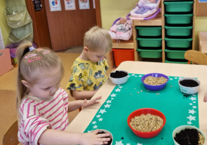 Małe smyki z grupy X w świecie przyrodniczej sensoryki – projekt edukacyjny cz. III .... WIOSNA