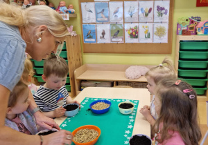 Małe smyki z grupy X w świecie przyrodniczej sensoryki – projekt edukacyjny cz. III .... WIOSNA