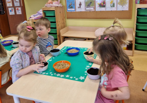 Małe smyki z grupy X w świecie przyrodniczej sensoryki – projekt edukacyjny cz. III .... WIOSNA