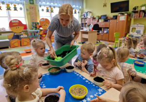 Małe smyki z grupy X w świecie przyrodniczej sensoryki – projekt edukacyjny cz. III .... WIOSNA