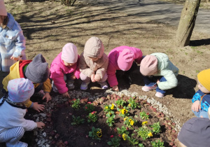 Małe smyki z grupy X w świecie przyrodniczej sensoryki – projekt edukacyjny cz. III .... WIOSNA