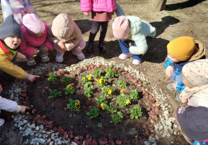 Małe smyki z grupy X w świecie przyrodniczej sensoryki – projekt edukacyjny cz. III .... WIOSNA