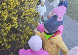 Małe smyki z grupy X w świecie przyrodniczej sensoryki – projekt edukacyjny cz. III .... WIOSNA