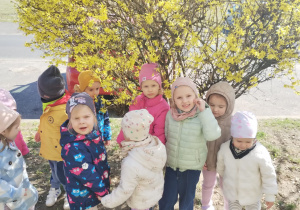 Małe smyki z grupy X w świecie przyrodniczej sensoryki – projekt edukacyjny cz. III .... WIOSNA