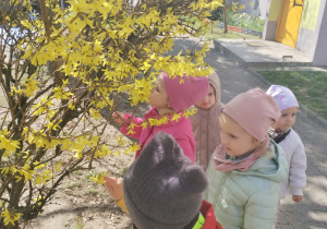 Małe smyki z grupy X w świecie przyrodniczej sensoryki – projekt edukacyjny cz. III .... WIOSNA