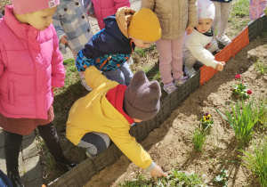 Małe smyki z grupy X w świecie przyrodniczej sensoryki – projekt edukacyjny cz. III .... WIOSNA