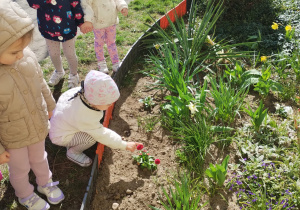 Małe smyki z grupy X w świecie przyrodniczej sensoryki – projekt edukacyjny cz. III .... WIOSNA