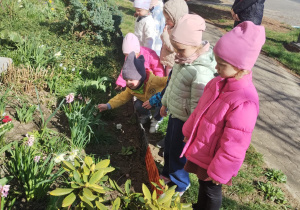 Małe smyki z grupy X w świecie przyrodniczej sensoryki – projekt edukacyjny cz. III .... WIOSNA