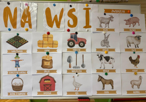 „Co słychać na wsi?” w grupie VII