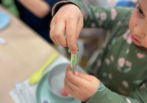 Wiosenne eksperymenty w grupie III – Kolorowa Zabawa!