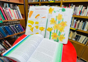 Pierwsza wizyta w bibliotece- gr. XI i XII