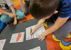 „Polska – moja Ojczyzna” – projekt edukacyjnyGrVII