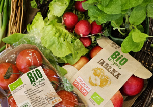 „Skąd się biorą produkty ekologiczne” - grupa VI