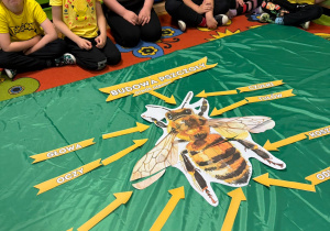 "W królestwie pszczół"- Dzień pszczoły grupa VII