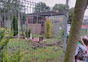 Wycieczka z okazji Dnia Dziecka do Parku Kreatywnej Zabawy "Deli Park" w Trzebawiu - grupa IX