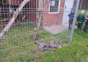 Wycieczka z okazji Dnia Dziecka do Parku Kreatywnej Zabawy "Deli Park" w Trzebawiu - grupa IX