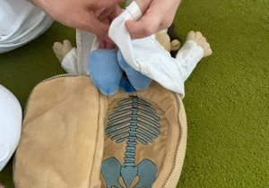 Spotkanie z OTORYNOLARYNGOLOGIEM w gr. XI