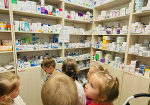 Poznajemy zawód farmaceuty - wycieczka do apteki w gr. XI