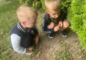 "Projekt: LAS" - zakończenie w gr. XI