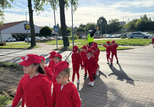 Zdjęcie 18 na 77