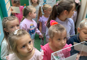 Przedszkolaki w Miasteczku Przedsiębiorczości