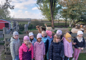 Gr. V Świętuje Dzień Chłopca w „Wiejskim podwórku Alpaki i inne zwierzaki” w ramach Tygodnia Budowania Relacji