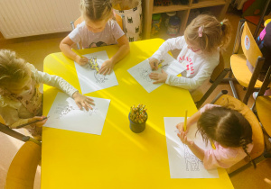 Zdjęcie 5 na 47