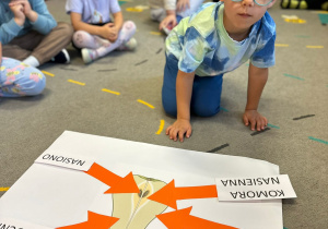"Owocowy tydzień" - projekt w grupie III