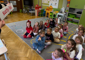 Zdjęcie 13 na 21