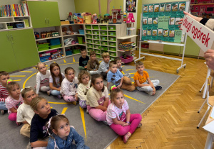 Zdjęcie 14 na 21