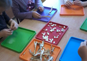 „Jesienna innowacja pedagogiczna” – grupa V – cz. I