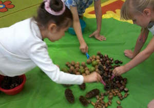 „Jesienna innowacja pedagogiczna” – grupa V – cz. I