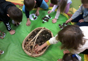 „Jesienna innowacja pedagogiczna” – grupa V – cz. I