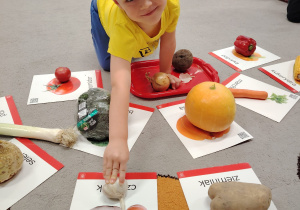 Projekt edukacyjny "Pod jesiennym parasolem"