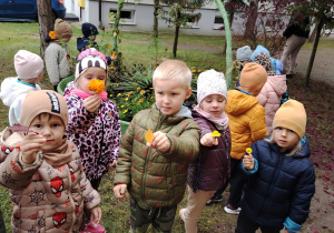 Projekt edukacyjny "Pod jesiennym parasolem"