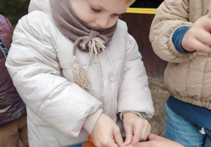 Projekt edukacyjny "Pod jesiennym parasolem"
