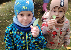 Projekt edukacyjny "Pod jesiennym parasolem"