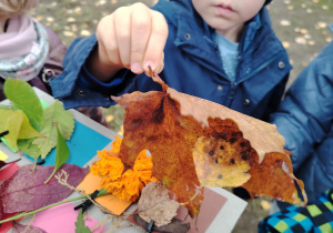 Projekt edukacyjny "Pod jesiennym parasolem"