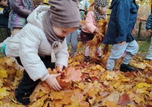 Projekt edukacyjny "Pod jesiennym parasolem"