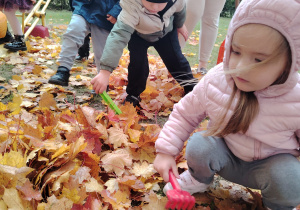 Projekt edukacyjny "Pod jesiennym parasolem"