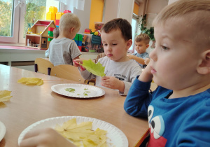 Projekt edukacyjny "Pod jesiennym parasolem"