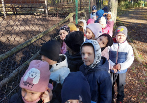 Wycieczka do parku grup III, IV,V,VI,XI i XII